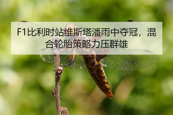 bi-li-shi-zhan-wei-si-ta-pan-yu-zhong-duo-guan-hun-he-lun-tai-ce-lve-li-ya-qun-xiong-3-221.jpg