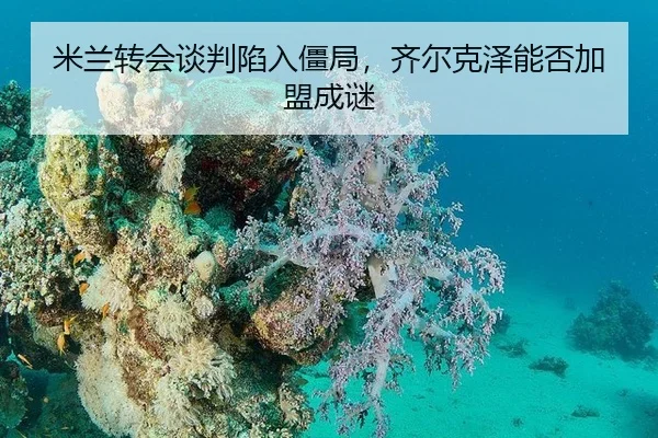 mi-lan-zhuan-hui-tan-pan-xian-ru-jiang-ju-qi-er-ke-ze-neng-fou-jia-meng-cheng-mi-3-458.jpg