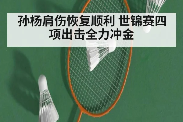 孙杨肩伤恢复顺利 世锦赛四项出击全力冲金